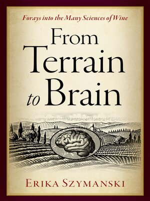 cover image of From Terrain to Brain